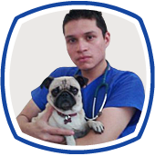 MMVZ Alberto Hernández Martínez